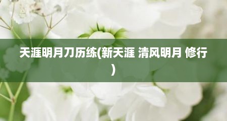 天涯明月刀历练(新天涯 清风明月 修行)
