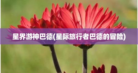 星界游神巴德(星际旅行者巴德的冒险)