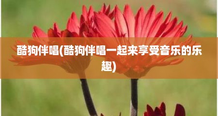 酷狗伴唱(酷狗伴唱一起来享受音乐的乐趣)