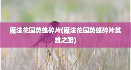 魔法花园英雄碎片(魔法花园英雄碎片英雄之路)