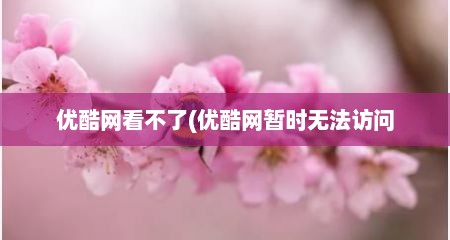 优酷网看不了(优酷网暂时无法访问