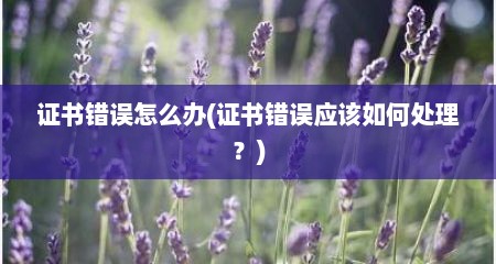 证书错误怎么办(证书错误应该如何处理？)