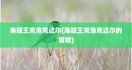 海贼王克洛克达尔(海贼王克洛克达尔的冒险)