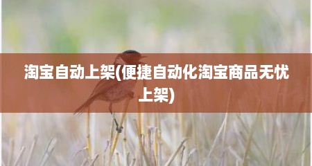 淘宝自动上架(便捷自动化淘宝商品无忧上架)