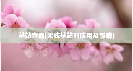 基站查询(无线基站的应用及影响)