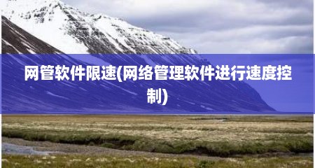 网管软件限速(网络管理软件进行速度控制)