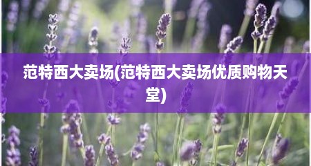 范特西大卖场(范特西大卖场优质购物天堂)