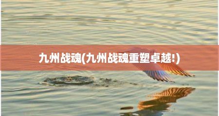 九州战魂(九州战魂重塑卓越!)