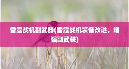 雷霆战机副武器(雷霆战机装备改进，增强副武装)