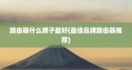 路由器什么牌子最好(最佳品牌路由器推荐)
