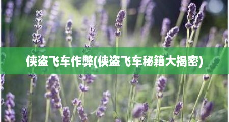 侠盗飞车作弊(侠盗飞车秘籍大揭密)