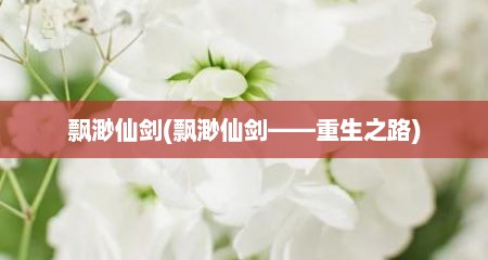 飘渺仙剑(飘渺仙剑——重生之路)