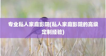 专业私人家庭影院(私人家庭影院的高级定制经验)