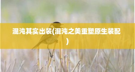 混沌其实出装(混沌之美重塑原生装配 )