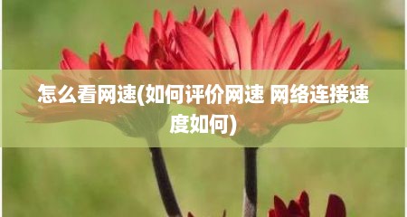 怎么看网速(如何评价网速 网络连接速度如何)