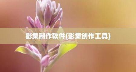 影集制作软件(影集创作工具)