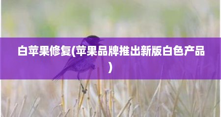 白苹果修复(苹果品牌推出新版白色产品)