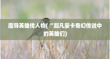 魔导英雄传人物(“超凡蒙卡奇幻传说中的英雄们)