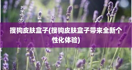 搜狗皮肤盒子(搜狗皮肤盒子带来全新个性化体验)