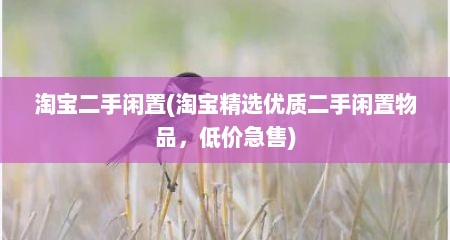 淘宝二手闲置(淘宝精选优质二手闲置物品，低价急售)