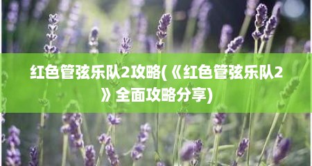 红色管弦乐队2攻略(《红色管弦乐队2》全面攻略分享)