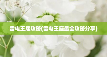 雷电王座攻略(雷电王座最全攻略分享)