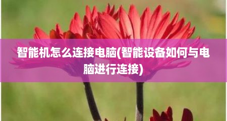 智能机怎么连接电脑(智能设备如何与电脑进行连接)