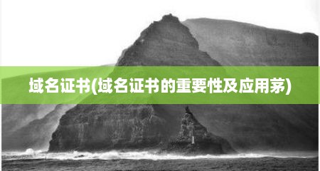 域名证书(域名证书的重要性及应用茅)