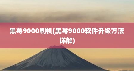 黑莓9000刷机(黑莓9000软件升级方法详解)