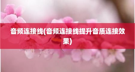音频连接线(音频连接线提升音质连接效果)