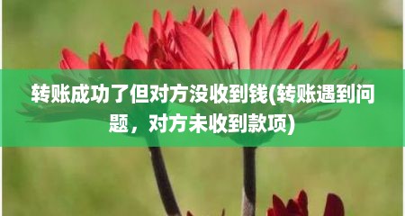 转账成功了但对方没收到钱(转账遇到问题，对方未收到款项)