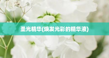 圣光精华(焕发光彩的精华液)