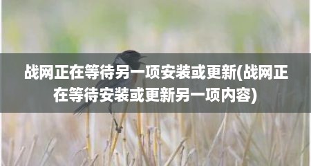战网正在等待另一项安装或更新(战网正在等待安装或更新另一项内容)