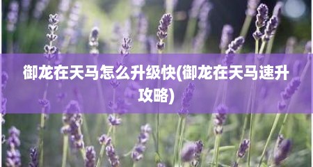 御龙在天马怎么升级快(御龙在天马速升攻略)