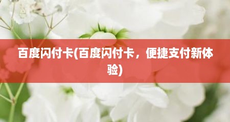 百度闪付卡(百度闪付卡，便捷支付新体验)