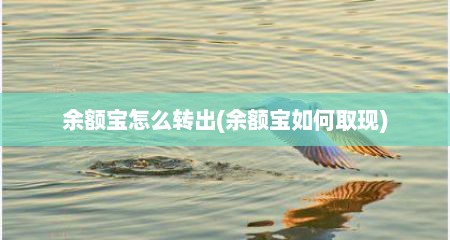 余额宝怎么转出(余额宝如何取现)
