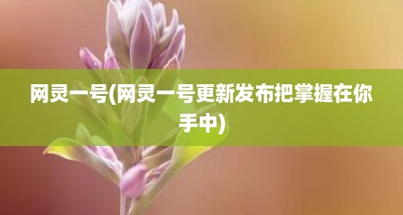 网灵一号(网灵一号更新发布把掌握在你手中)