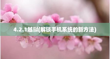 4.2.1越狱(解锁手机系统的新方法)