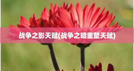 战争之影天赋(战争之暗重塑天赋)