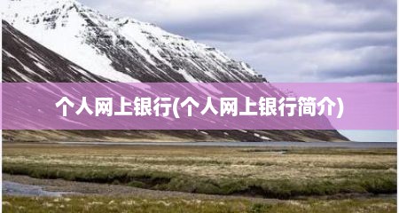 个人网上银行(个人网上银行简介)