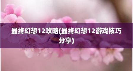 最终幻想12攻略(最终幻想12游戏技巧分享)
