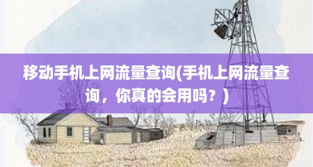 移动手机上网流量查询(手机上网流量查询，你真的会用吗？)