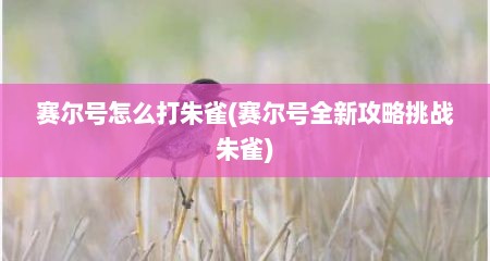 赛尔号怎么打朱雀(赛尔号全新攻略挑战朱雀)