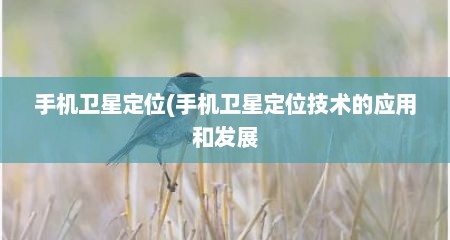 手机卫星定位(手机卫星定位技术的应用和发展