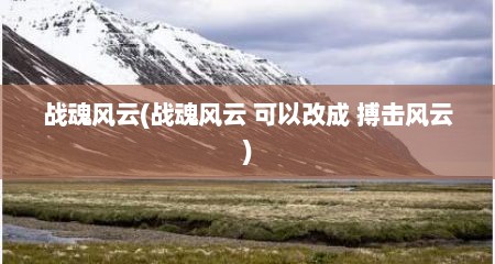 战魂风云(战魂风云 可以改成 搏击风云)