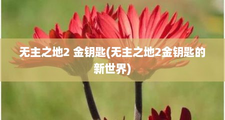 无主之地2 金钥匙(无主之地2金钥匙的新世界)