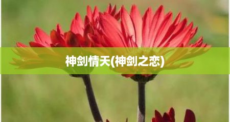 神剑情天(神剑之恋)