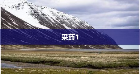 采药1