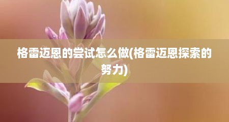 格雷迈恩的尝试怎么做(格雷迈恩探索的努力)