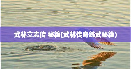 武林立志传 秘籍(武林传奇练武秘籍)